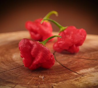 Foodorama Scotch Bonnet