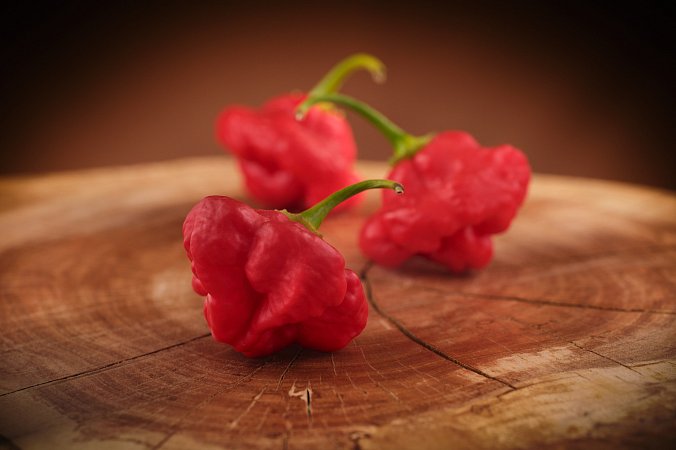 Foodorama Scotch Bonnet | Chilli semena