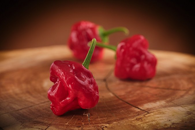 Jamaican Hot Red | Chilli semena