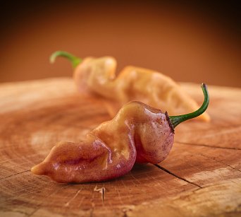 Bhut Jolokia Purple Peach