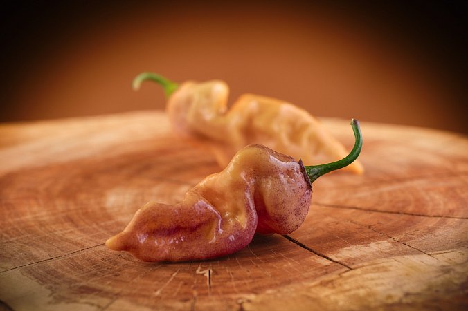 Bhut Jolokia Purple Peach | Chilli semena