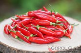 Aji Challuaruro Rojo | Chilli semena