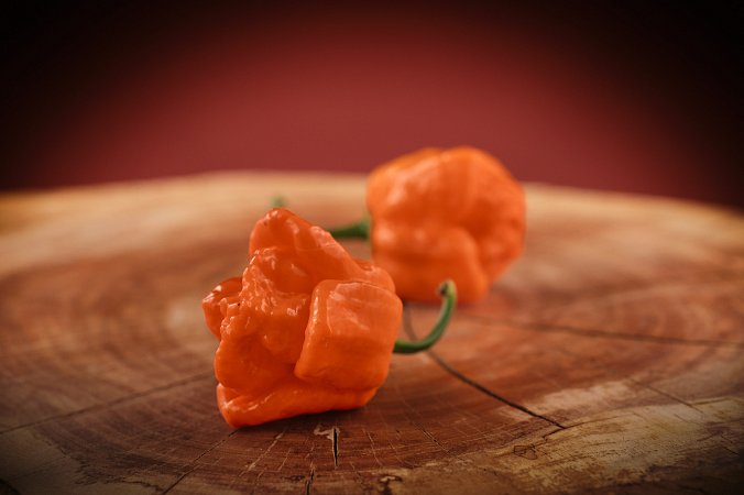 Bhut Orange Copenhagen | Chilli semena