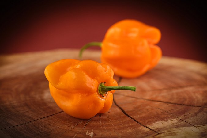 Roatan Pumpkin Habanero | Chilli semena