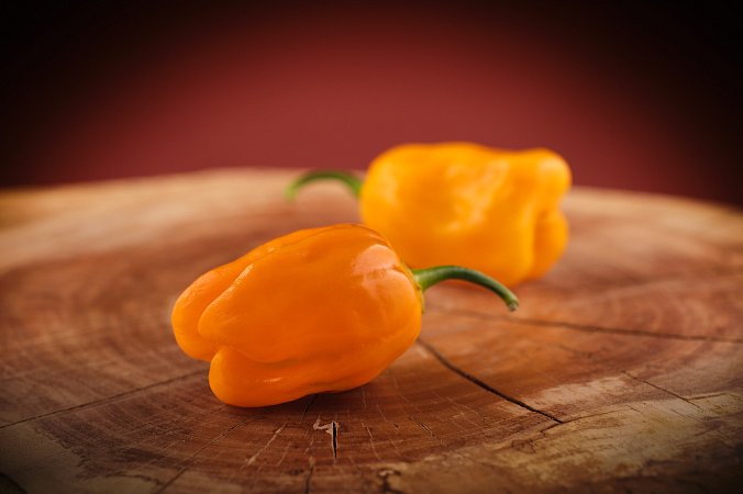 Habanero Gambia Orange | Chilli semena