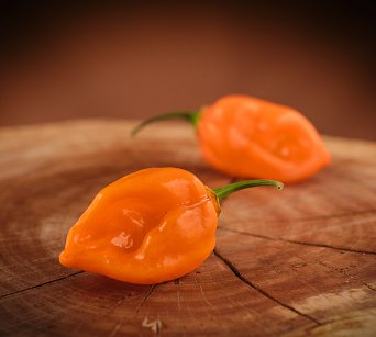 Habanero Naranja Picante