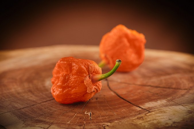 BBG7 x Moruga Peach | Chilli semena