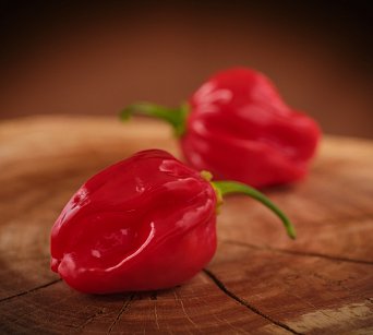 Red Dominica Habanero