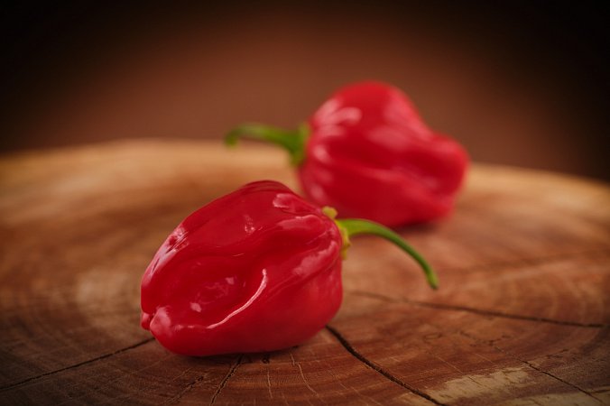 Red Dominica Habanero | Chilli semena