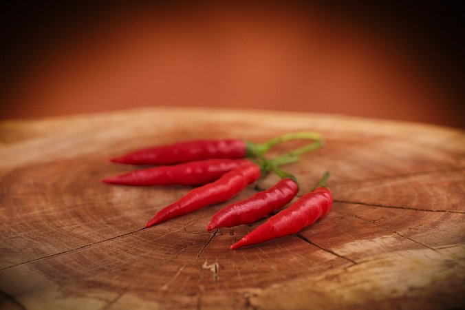 Cabai Chilli Tree | Chilli semena