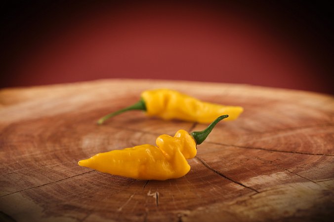 Habanero Neon Yellow | Chilli semena