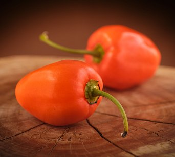 Rocoto San Pedro Orange