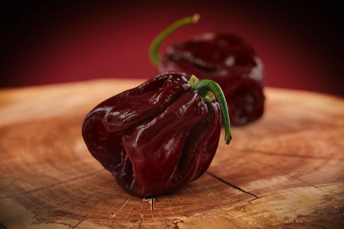 Scotch Bonnet Chocolate | Chilli semena