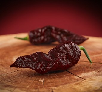 Bhut Jolokia Chocolate Giant