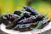 Aji Panca Lima | Chilli semena