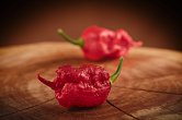 7 Pot Primo Red | Chilli semena