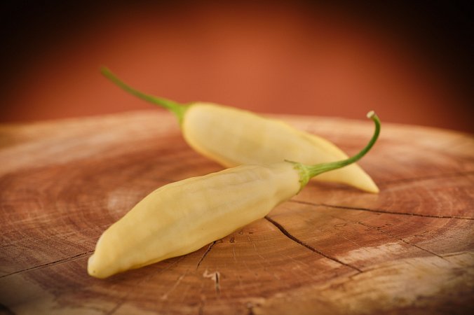 Aji Limonero Blanco | Chilli semena