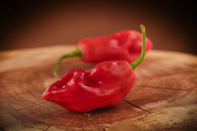 Pimenta de Cheiro Red | Chilli semena