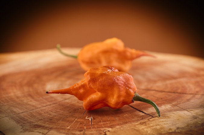 Fox Dark Naga Orange | Chilli semena