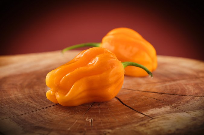 West Indian Yellow Habanero | Chilli semena