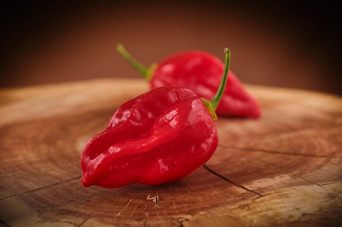 Devils Tongue Red | Chilli semena