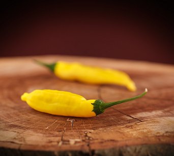 Aji Lemon Drop