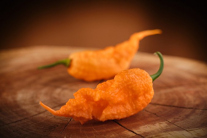 Reaper of Death Orange | Chilli semena