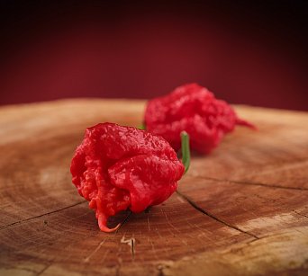 Carolina Reaper HP22B