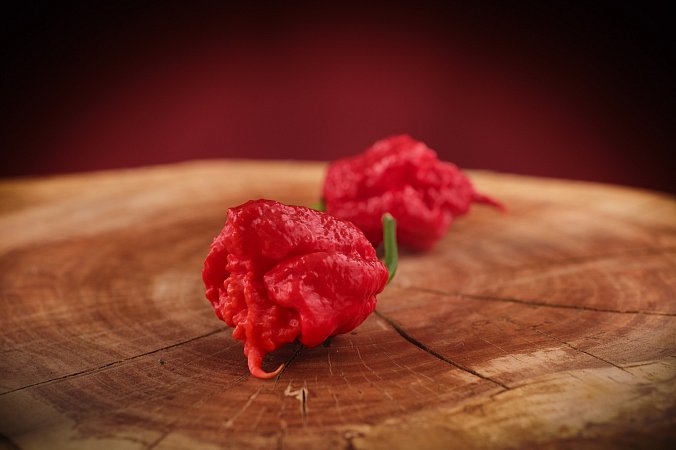 Carolina Reaper HP22B | Chilli semena