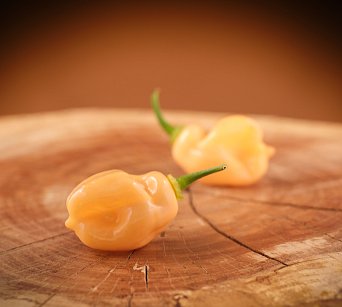 Habanero Peach