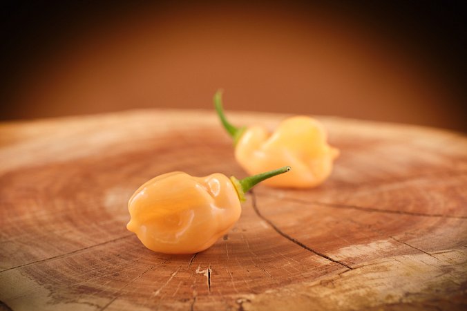 Habanero Peach | Chilli semena