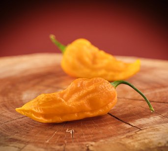 Bhut Jolokia Yellow