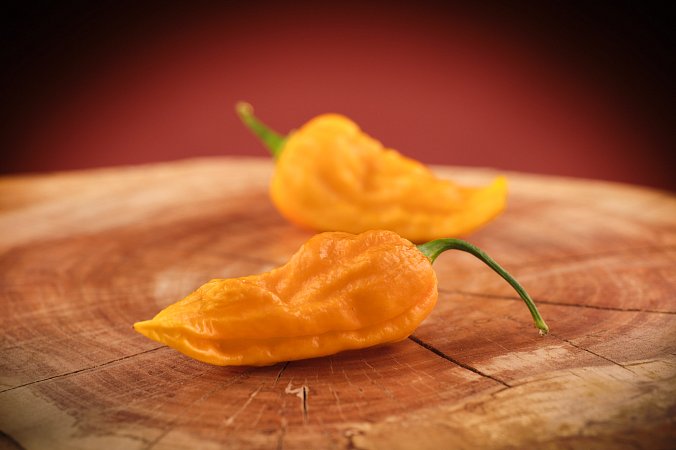 Bhut Jolokia Yellow | Chilli semena