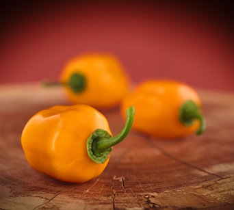 Aji Dulce Amarillo