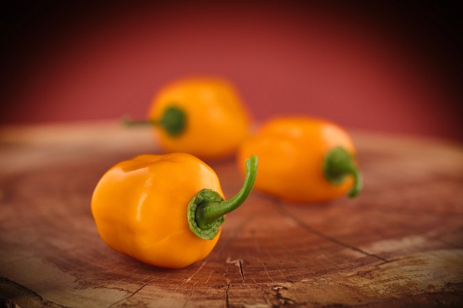 Aji Dulce Amarillo | Chilli semena