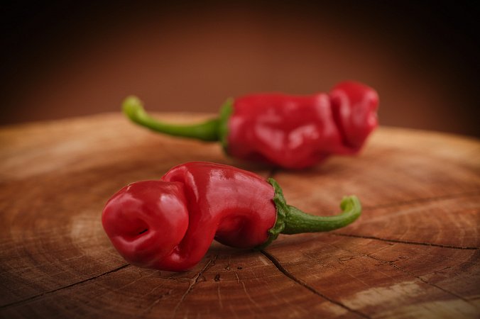 Red Peter Pepper | Chilli semena