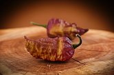 Peach Bhut x Golden Bhut | Chilli semena