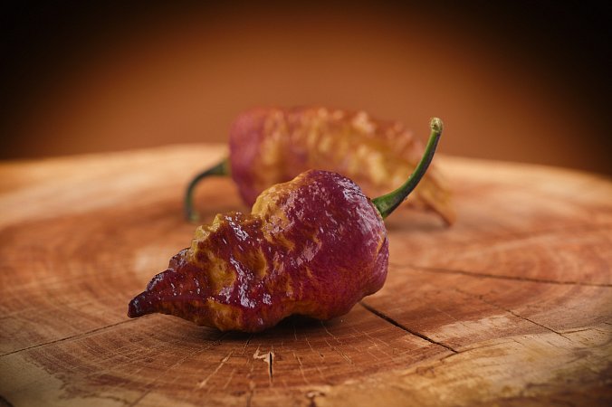 Peach Bhut x Golden Bhut | Chilli semena