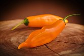 Giallo Arancio | Chilli semena