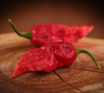 Bhut Jolokia Red Giant