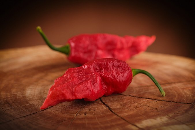 Bhut Jolokia Red Giant | Chilli semena