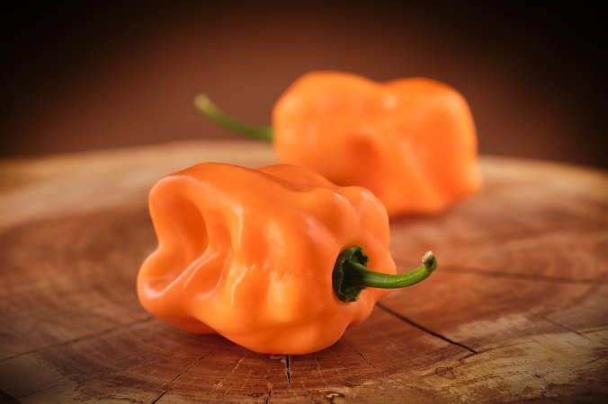 Rogers Giant Peach Habanero  | Chilli semena