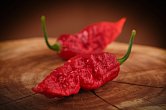 Bhut Jolokia Red Giant | Chilli semena