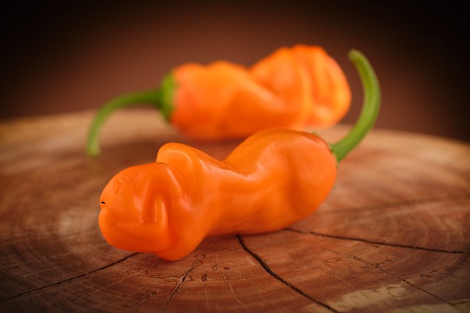 Orange Penis (Peter) Pepper