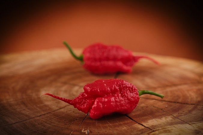 Primotalii Red | Chilli semena