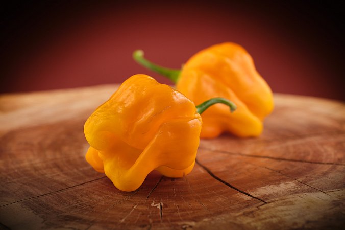 Habanero Big Sun | Chilli semena