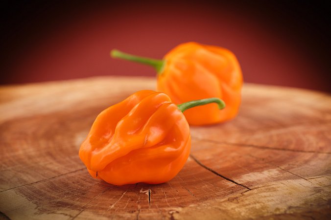 Scotch Bonnet Marabella Market Yellow | Chilli semena