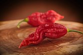 Super Bhut Jolokia JW | Chilli semena