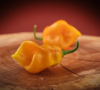 Aji Chombo Amarillo