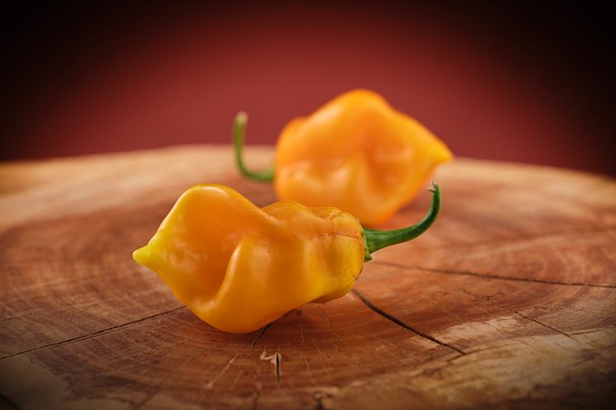 Aji Chombo Amarillo | Chilli semena